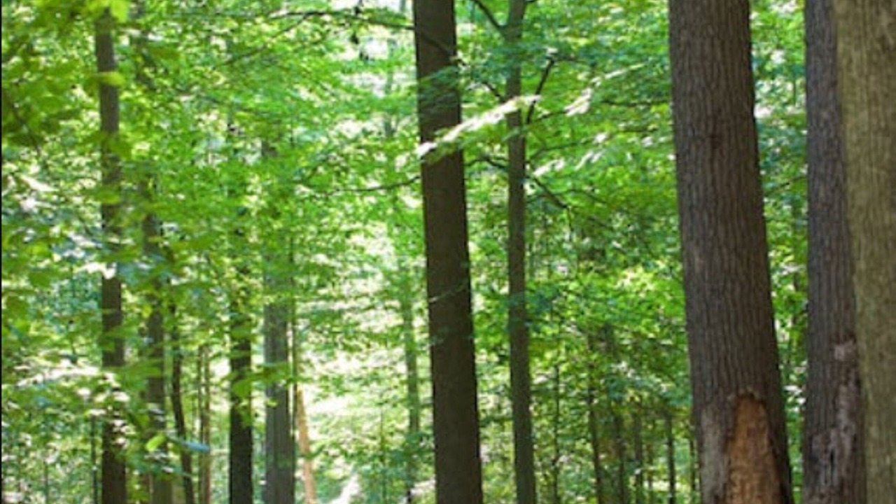 Photo of Outdoor in Potomac