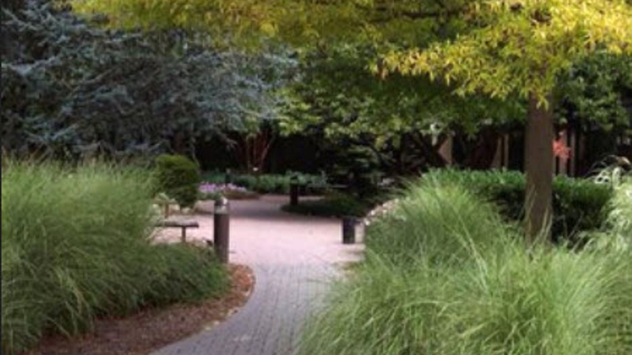 Photo of Outdoor in Potomac