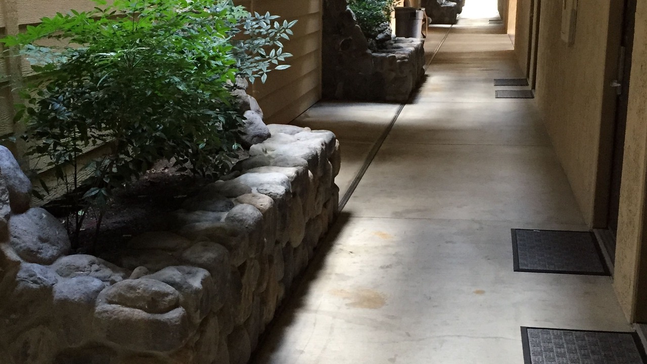 Photo of Outdoor in Mariposa