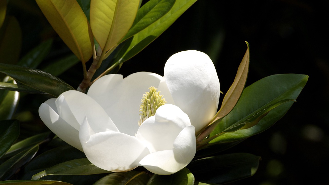 Photo of Outdoor in Quincy