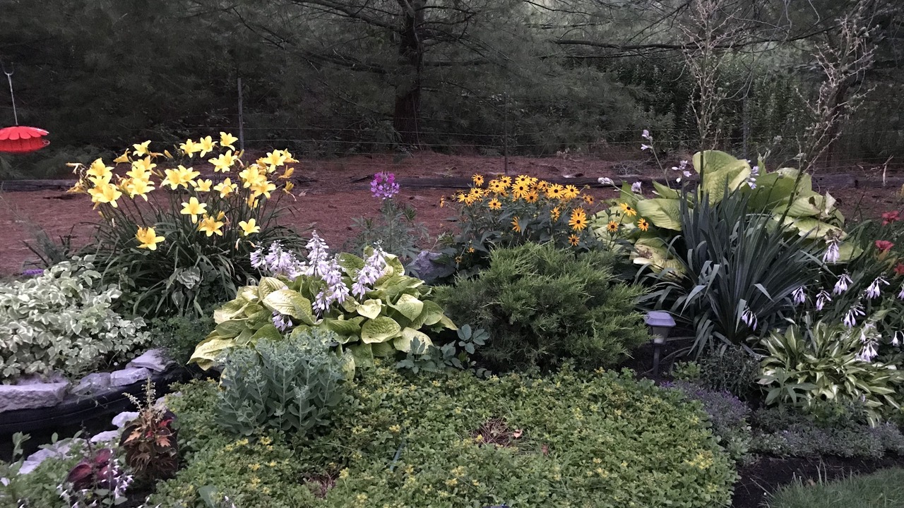 Photo of Outdoor in Newfane