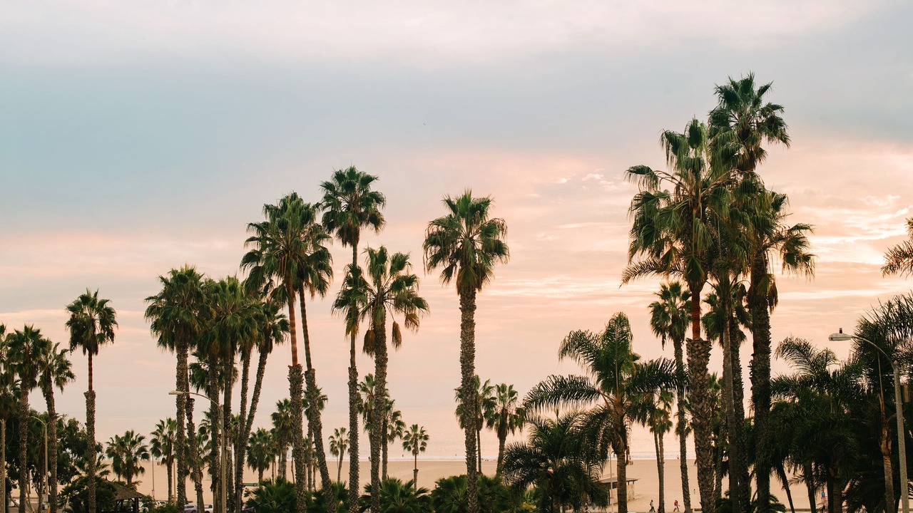 Photo of Outdoor in Ocean Park