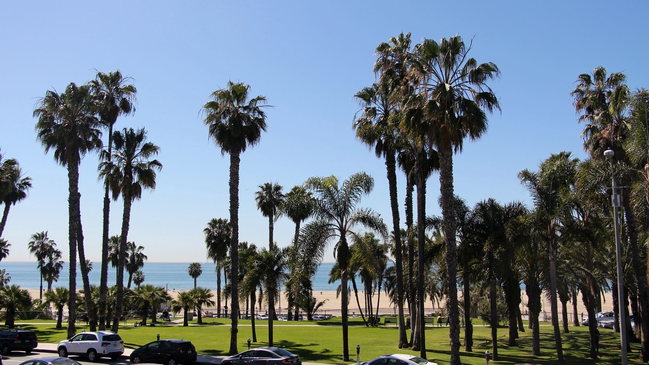 Photo of Others in Ocean Park