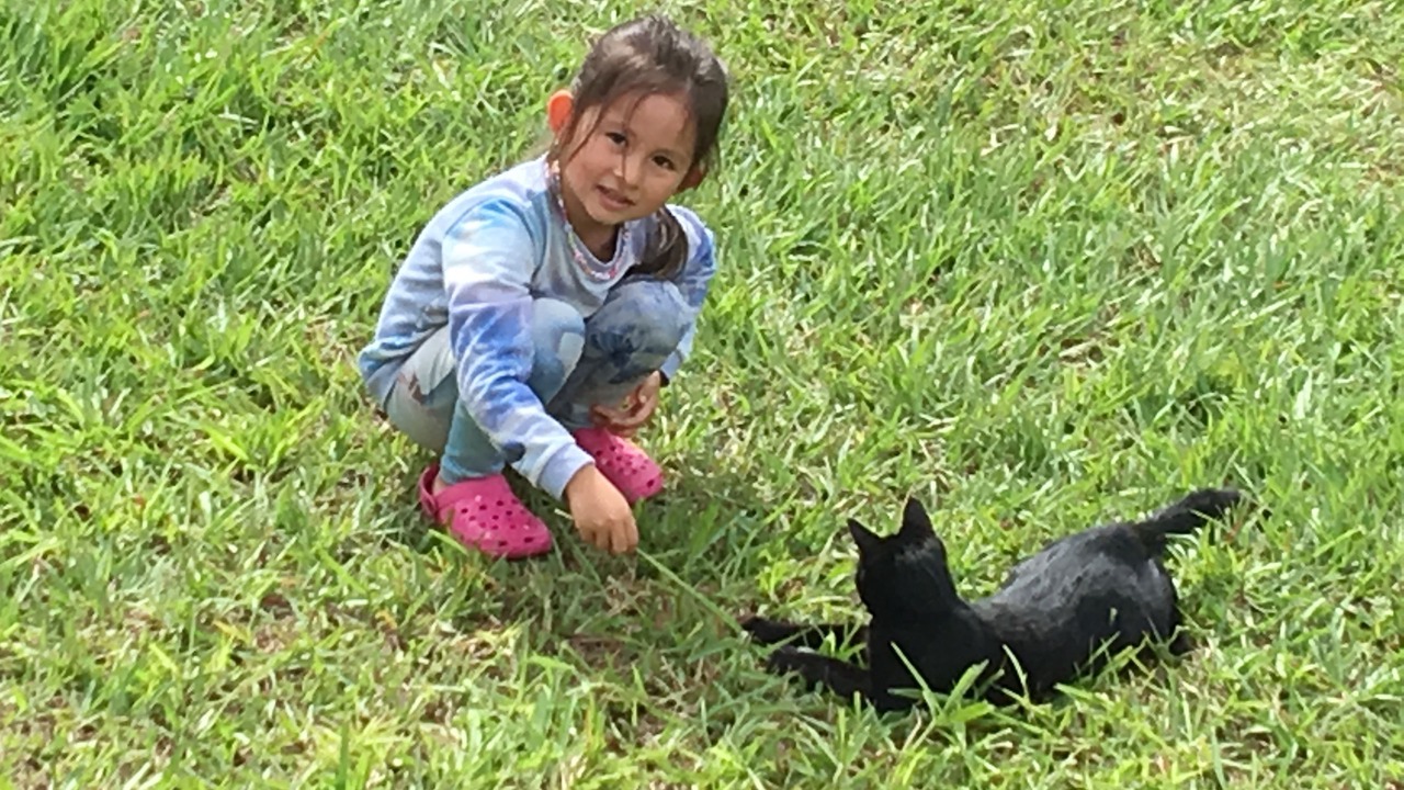 Photo of Outdoor in Naalehu