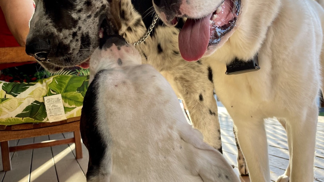 Photo of Outdoor in Naalehu