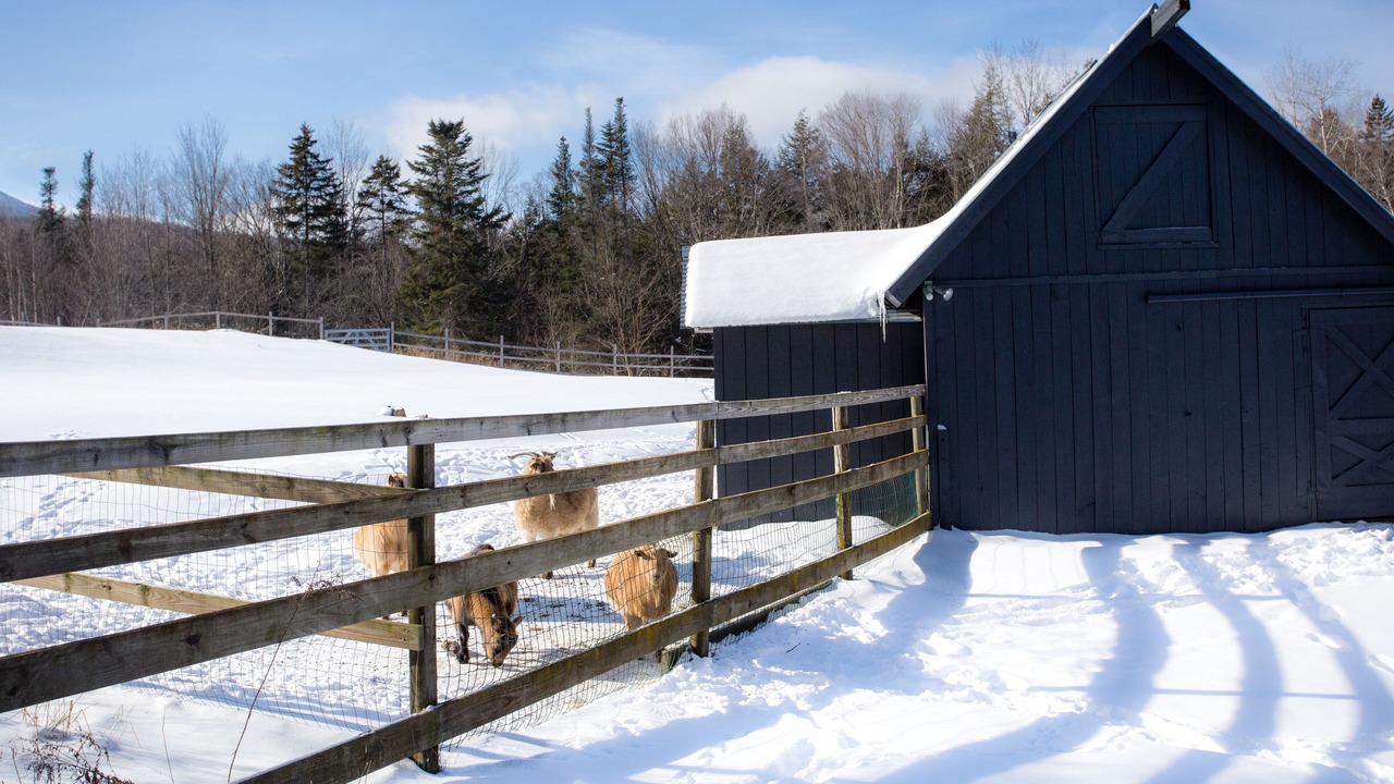 Photo of Outdoor in Killington