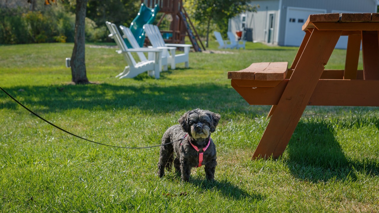 Photo of Others in Boothbay Harbor
