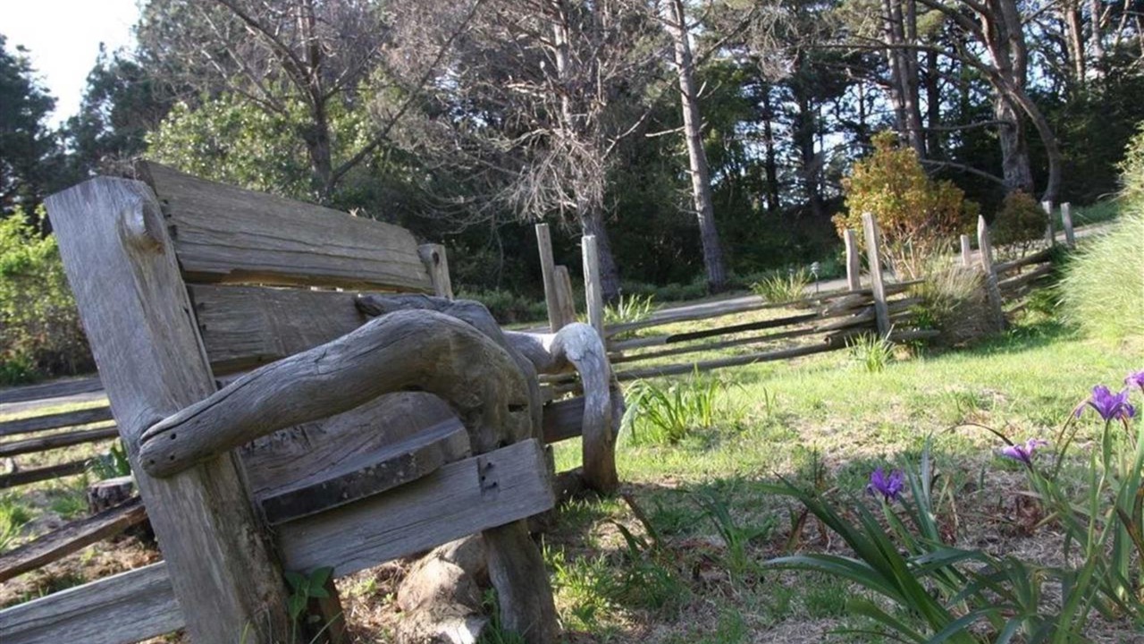 Photo of Outdoor in Mendocino