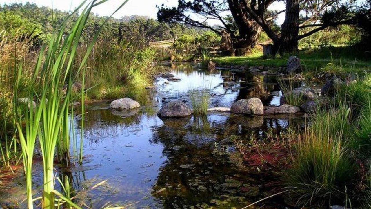 Photo of Patio Balcony in Mendocino