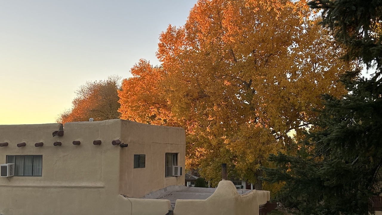 Photo of Outdoor in Taos