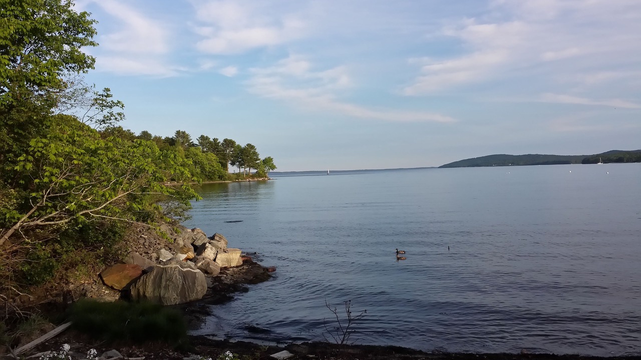 Photo of Others in Belfast