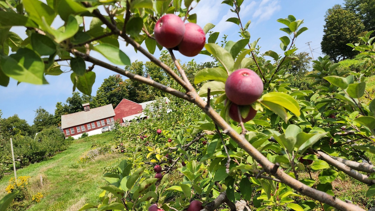 Photo of Others in Northfield