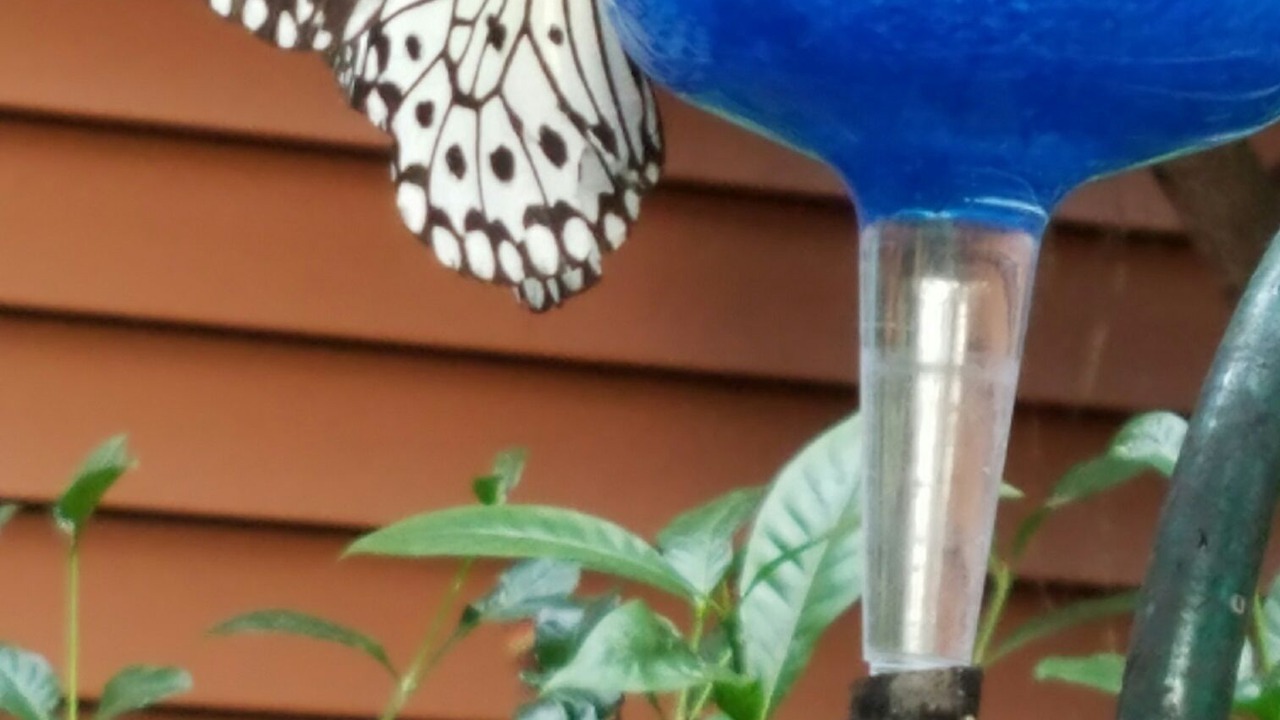 Photo of Others in Northfield