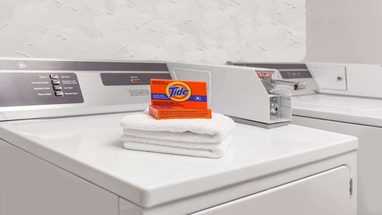 Photo of Others in Fredericton