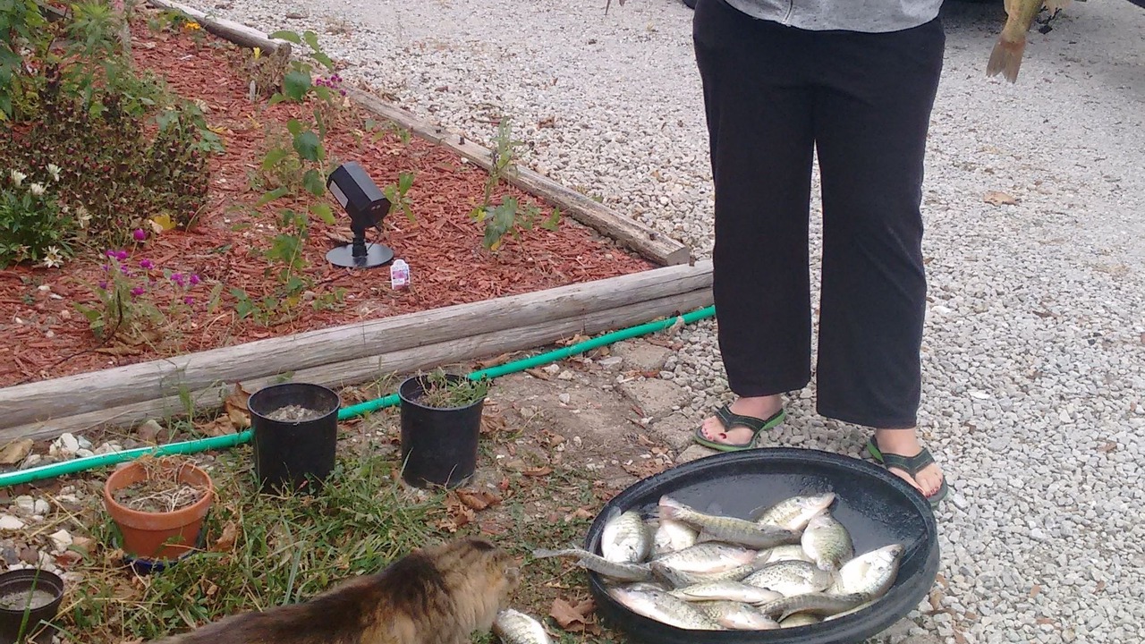 Photo of Others in Perry