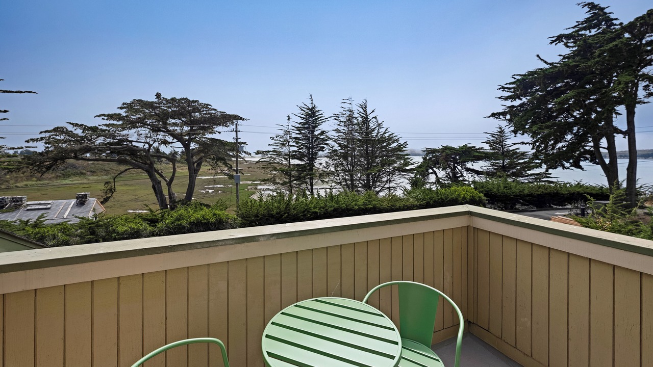 Photo of Others in Bodega Bay