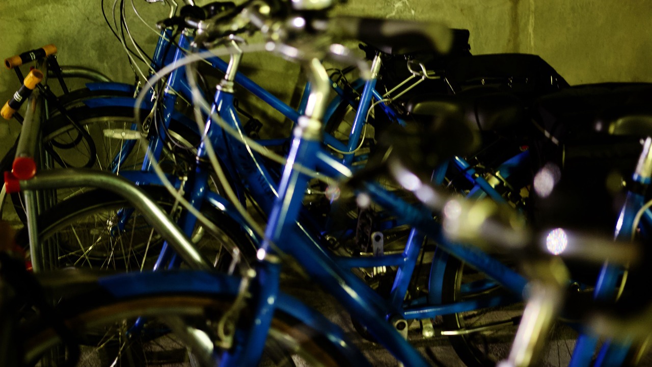 Photo of Outdoor in Lower Queen Anne