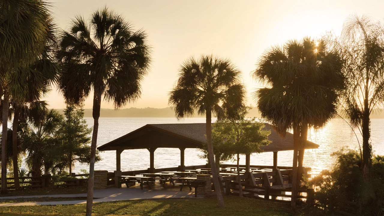 Photo of Outdoor in Tarpon Springs
