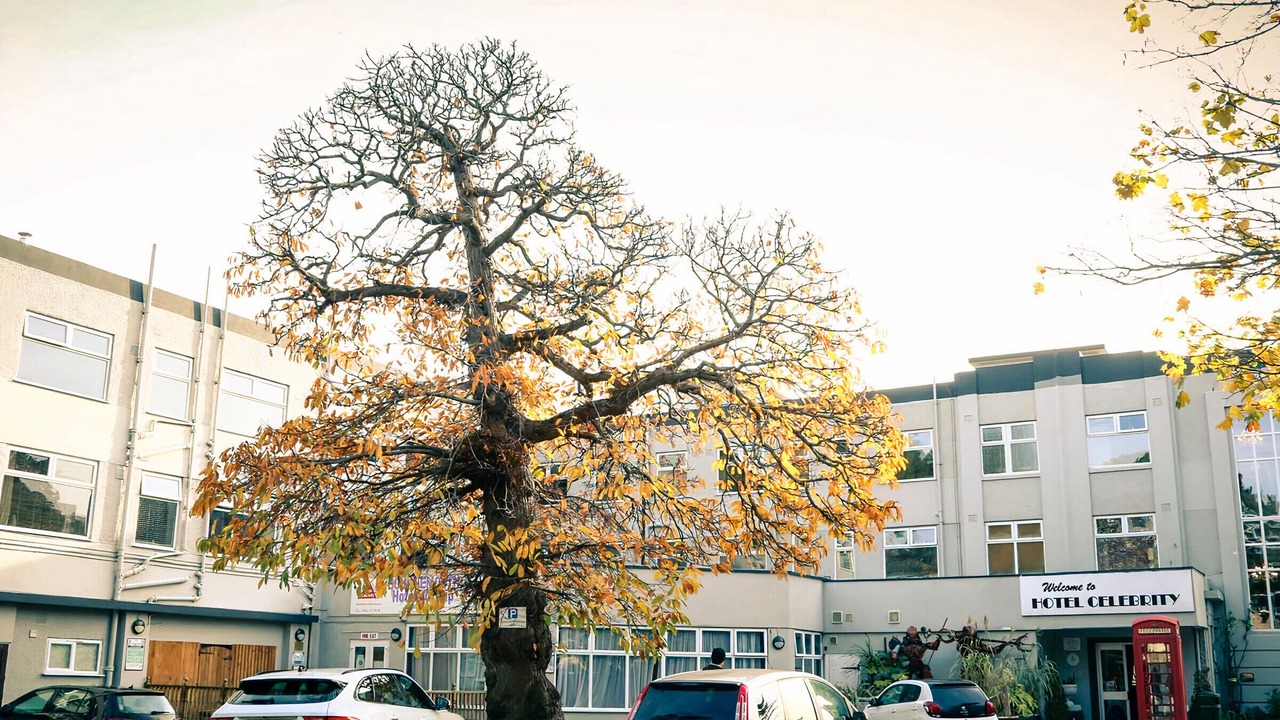 Photo of Outdoor in Bournemouth City Centre