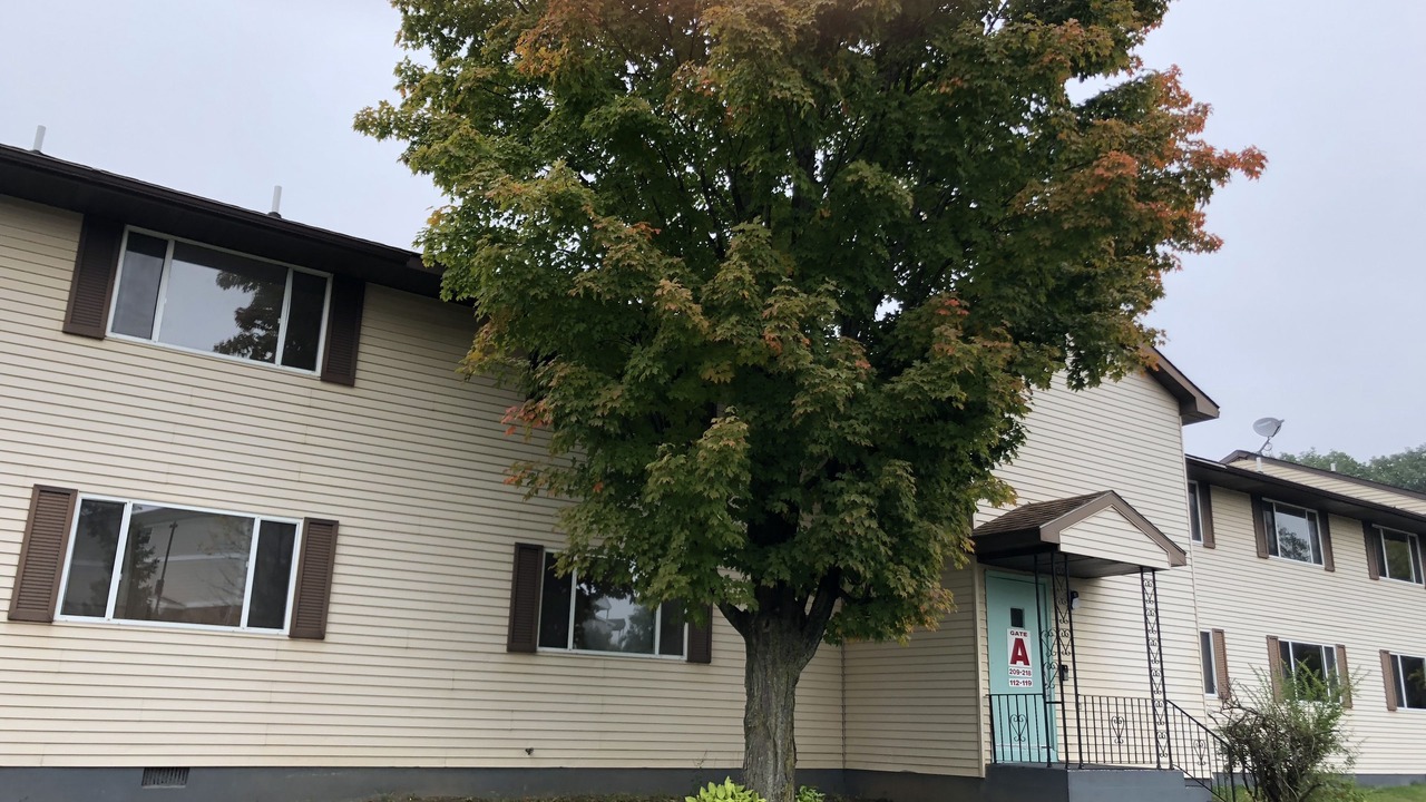 Photo of Outdoor in Latham