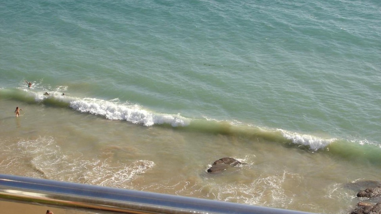 Photo of Others in Les Sables d'Olonne