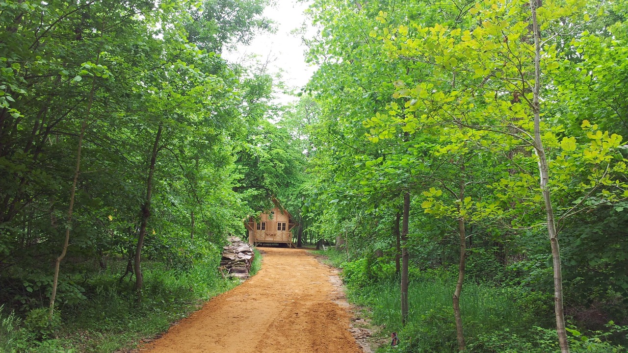 Photo of Outdoor in Champigne