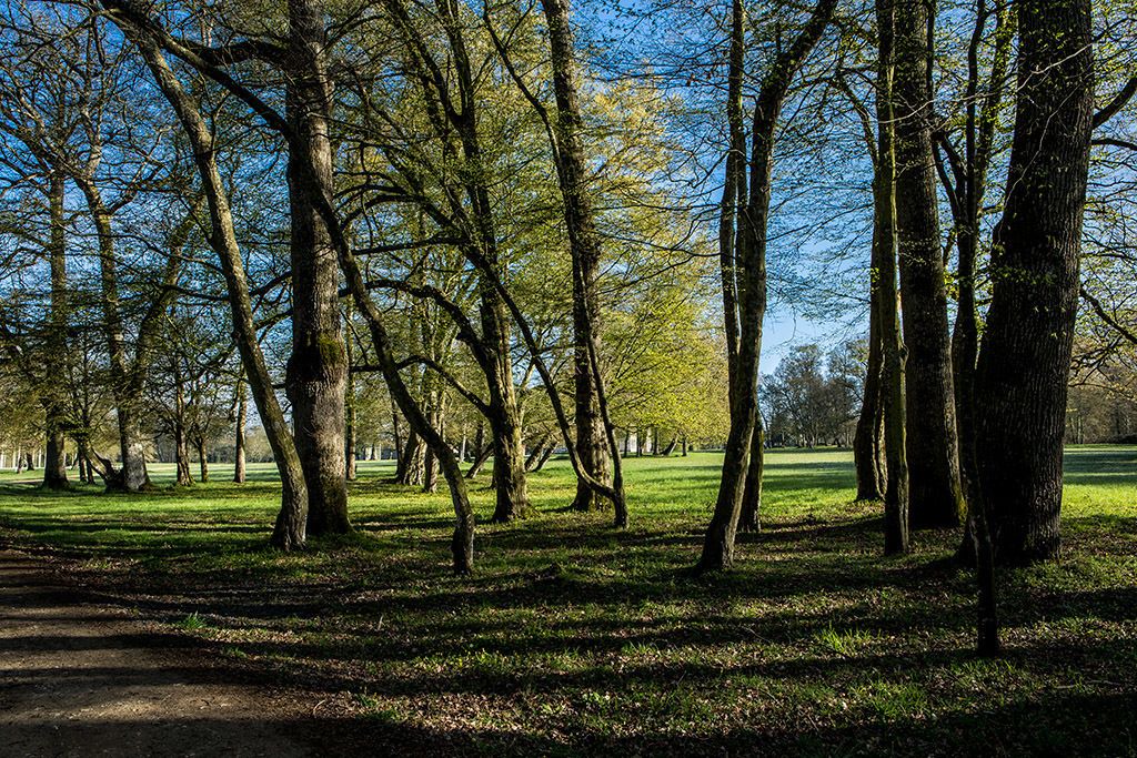 Photo of Outdoor in Champigne