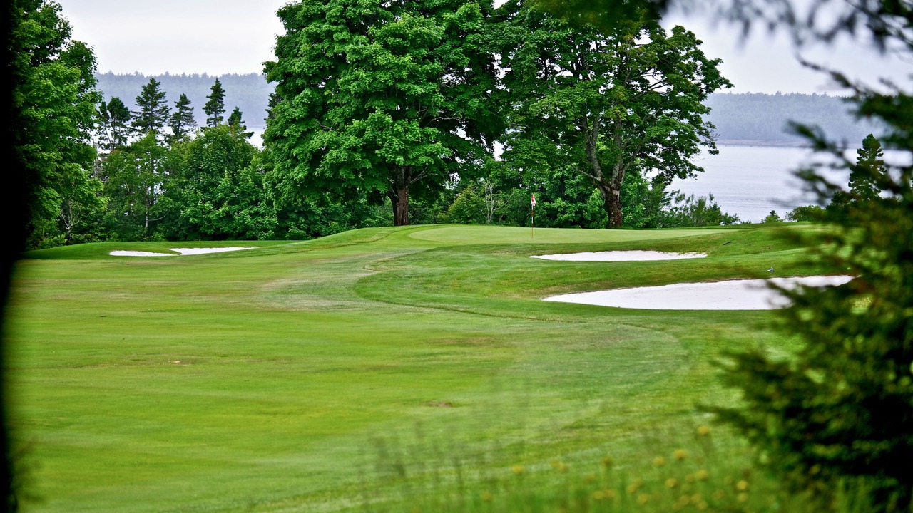 Photo of Others in Digby