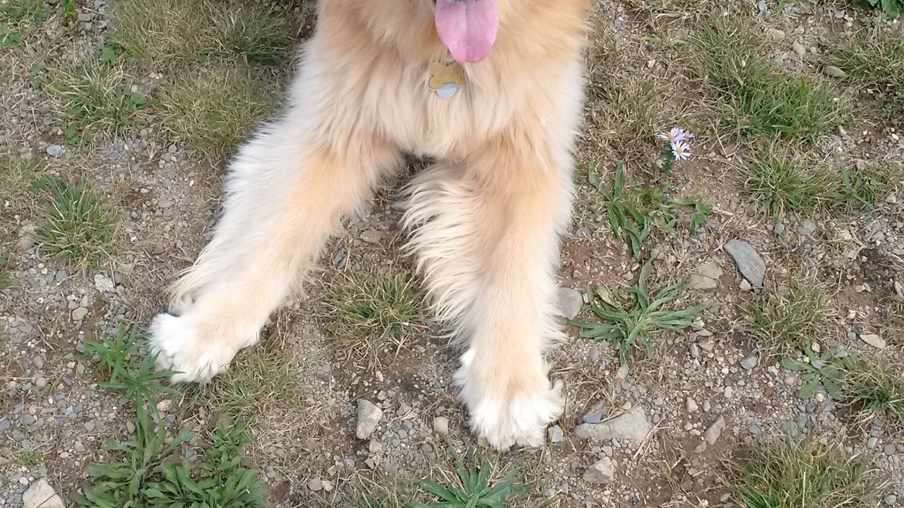 Photo of Others in Digby