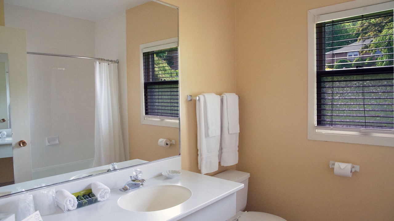 Photo of Bathroom in Digby