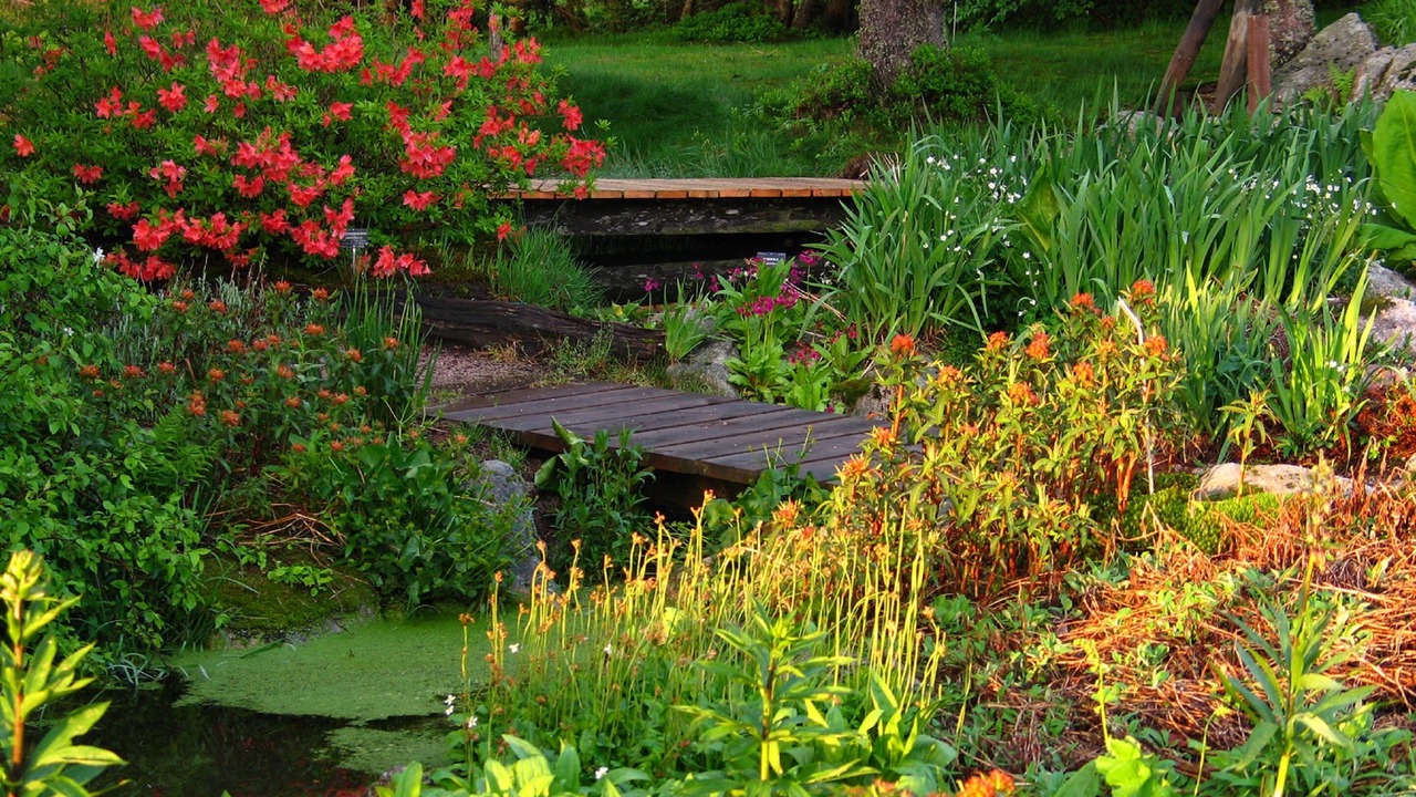 Photo of Others in Mereville