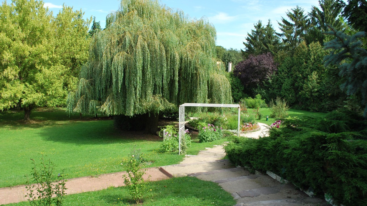 Photo of Outdoor in Mereville