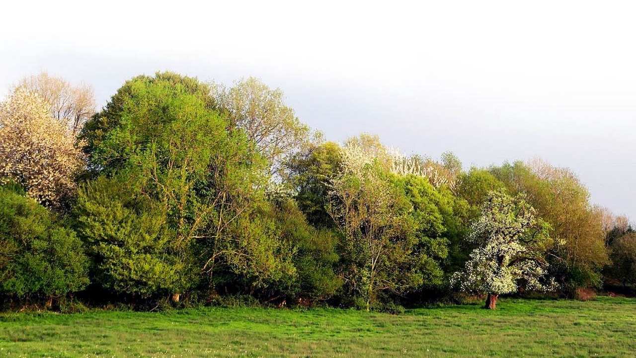 Photo of Others in Mereville