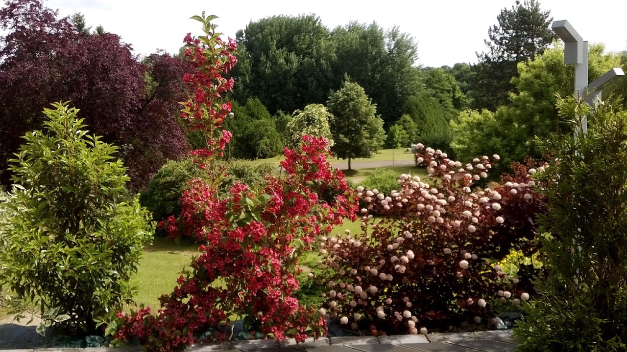 Photo of Outdoor in Mereville