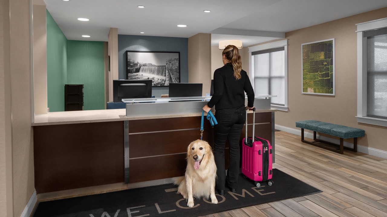 Photo of Others in Dedham