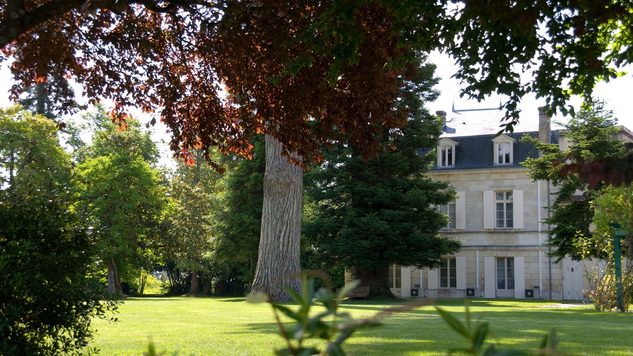 Photo of Outdoor in Margaux