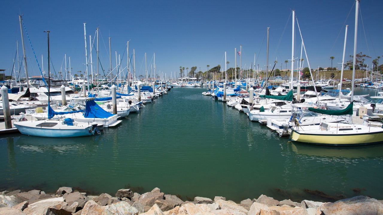 Photo of Others in Oceanside