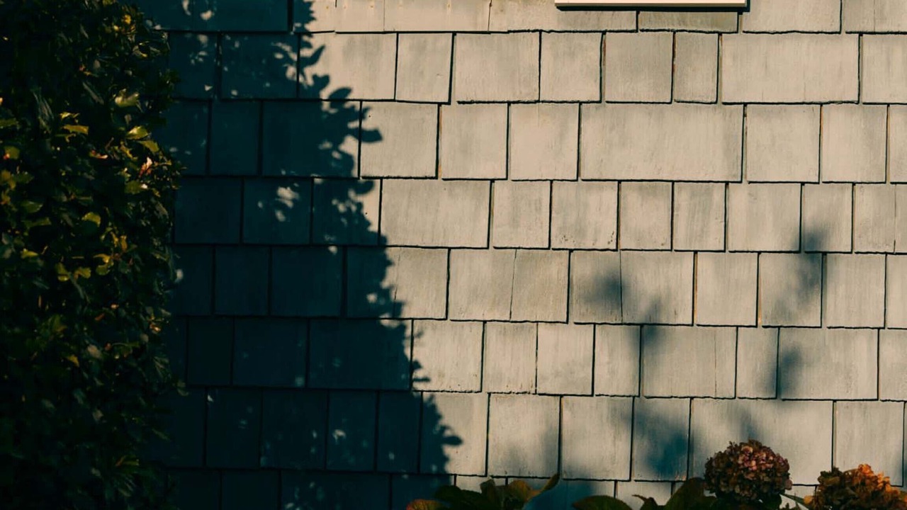 Photo of Outdoor in Avon