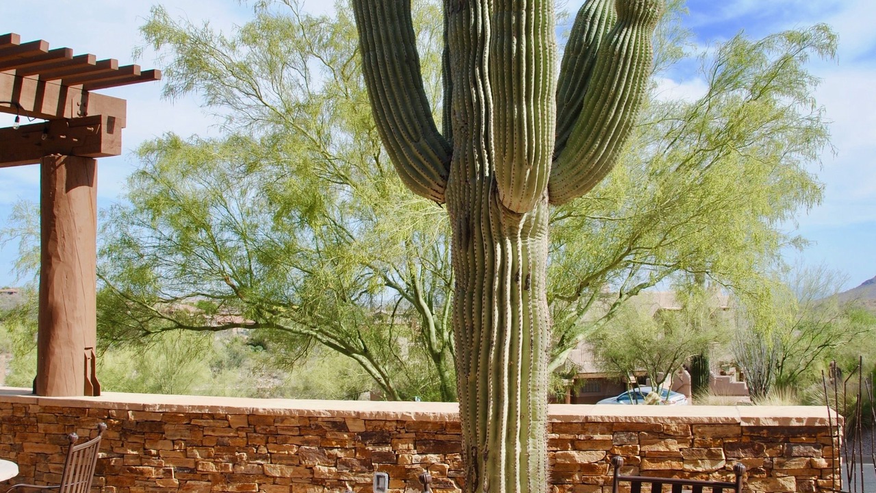 Photo of Patio Balcony in Eagle Mountain