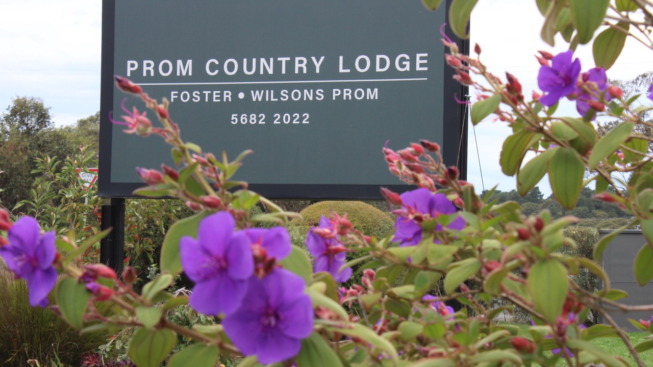 Photo of Outdoor in Foster