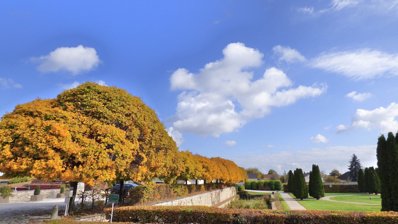 Photo of Outdoor in Gilly-les-Citeaux