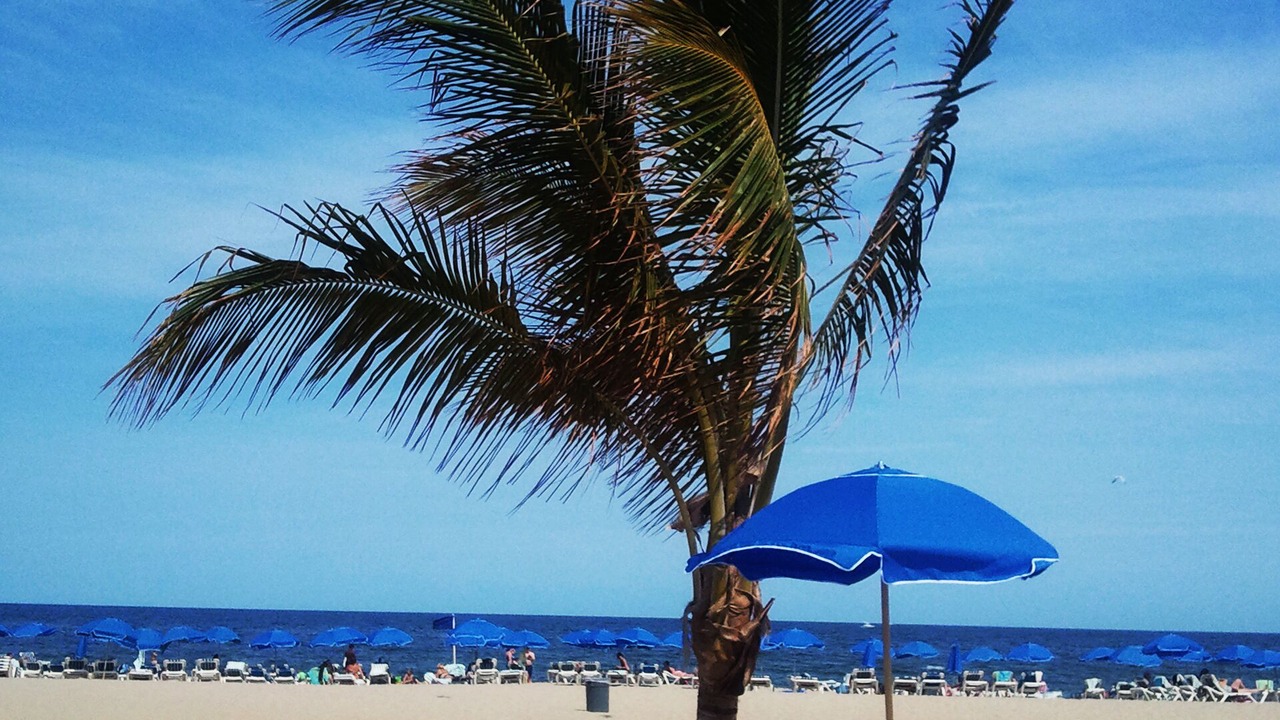 Photo of Outdoor in Long Branch