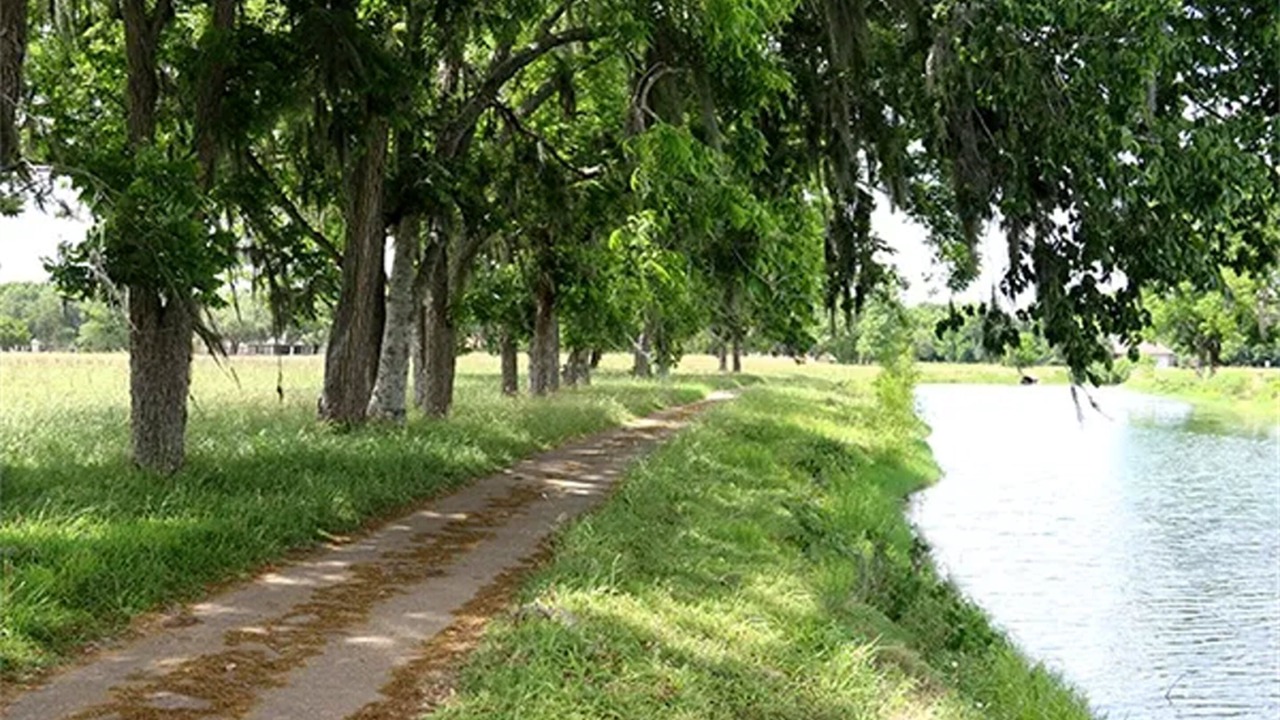 Photo of Outdoor in West Columbia