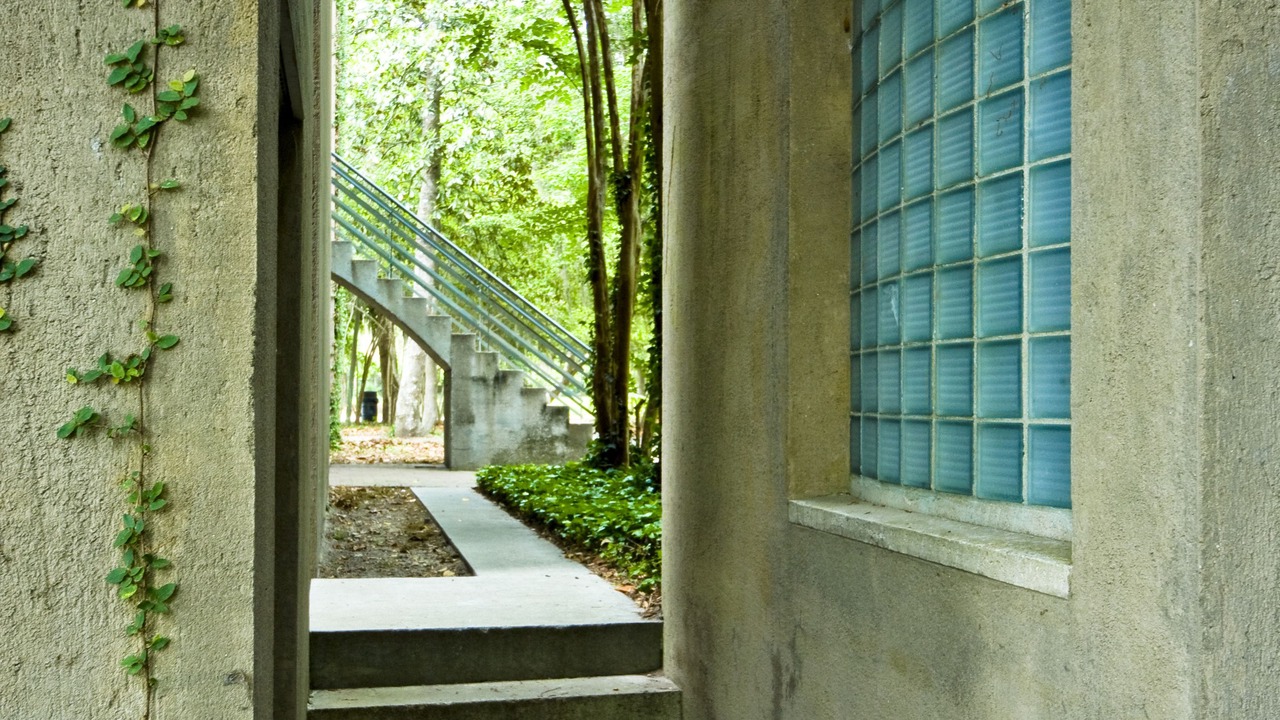 Photo of Outdoor in Charleston