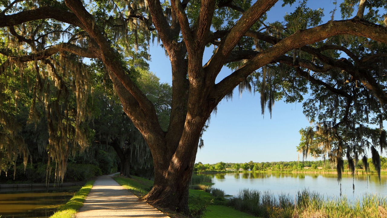 Photo of Outdoor in Charleston
