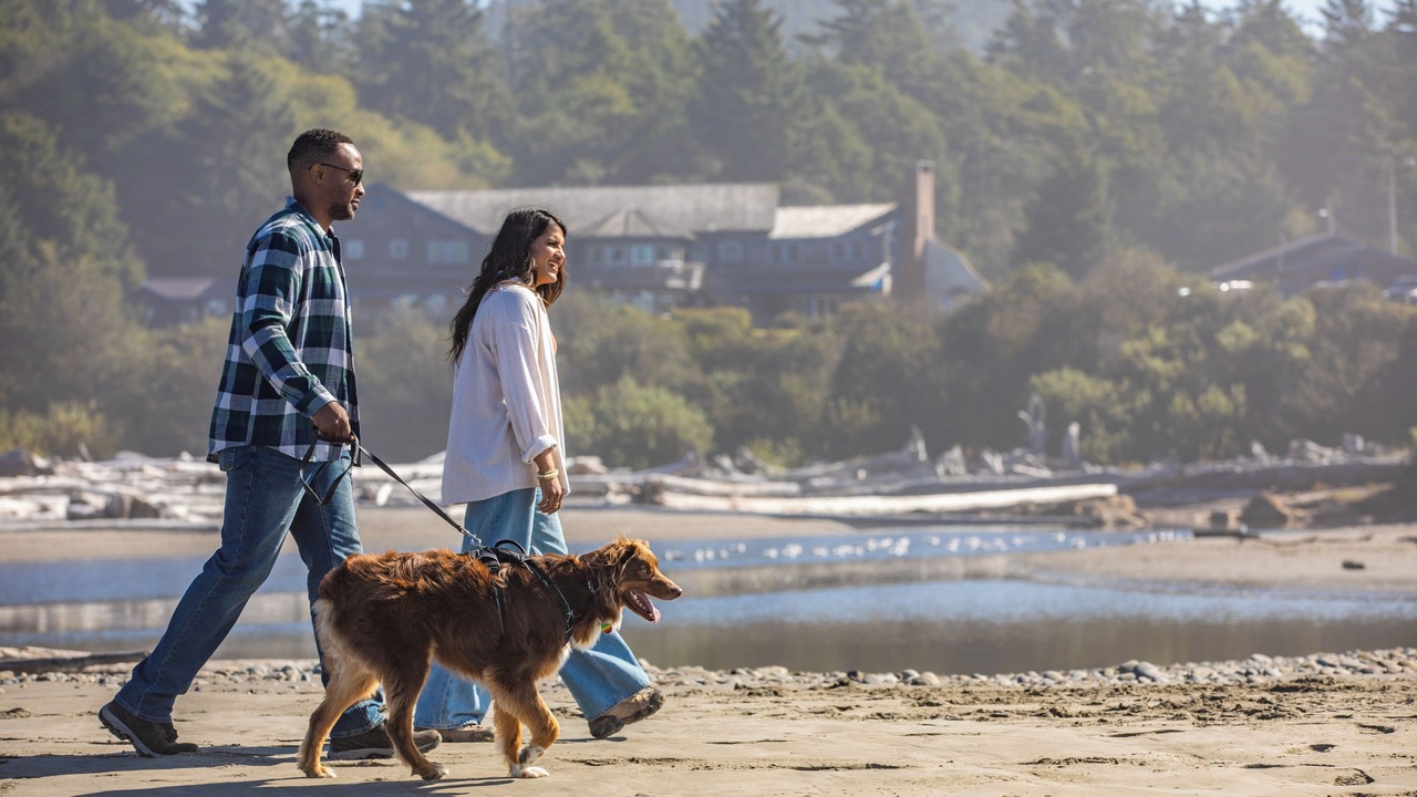 Photo of Others in Kalaloch