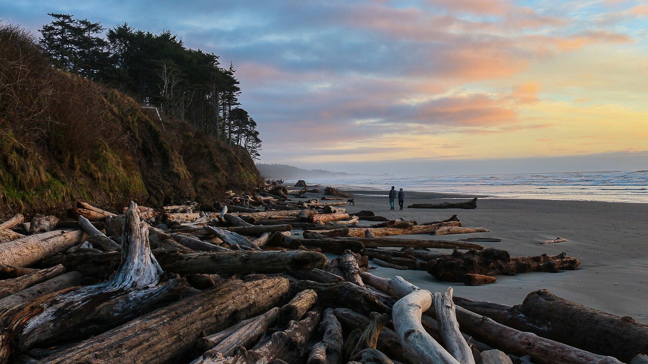 Photo of Others in Kalaloch