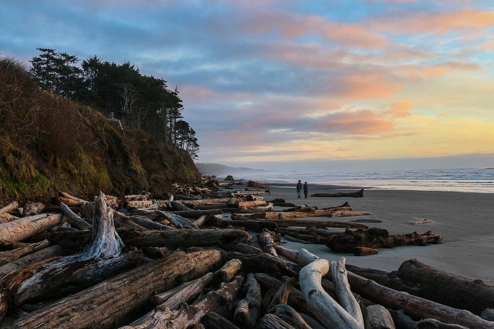 Photo of Others in Kalaloch