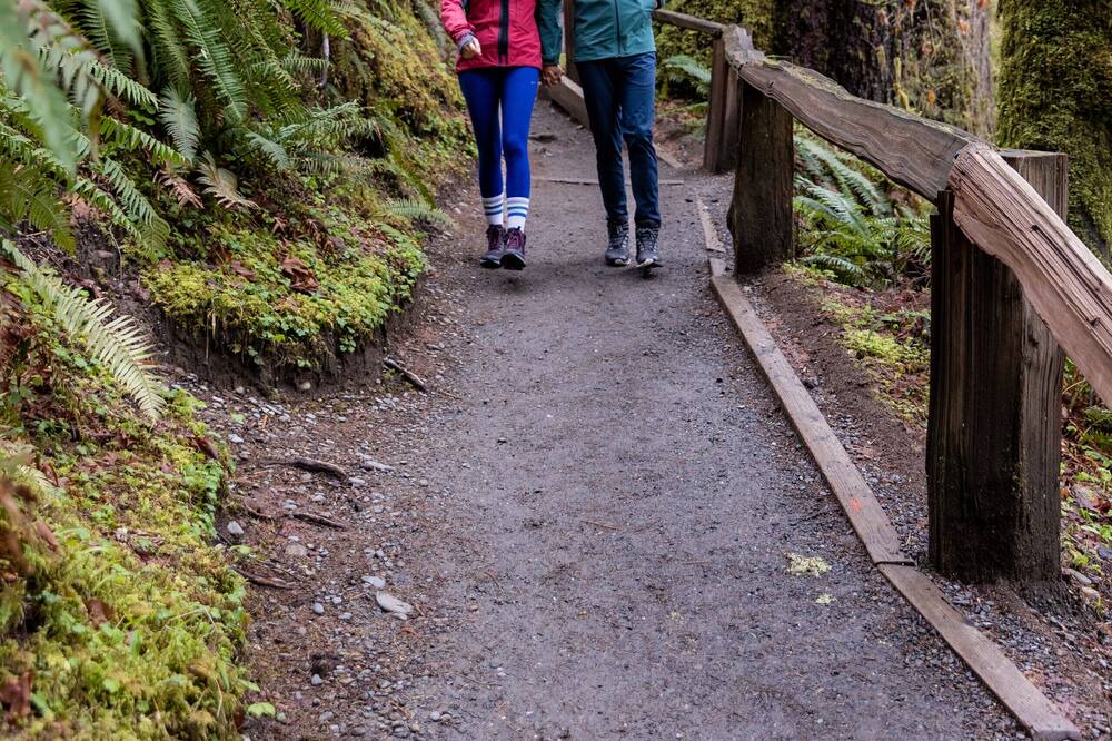 Photo of Outdoor in Kalaloch