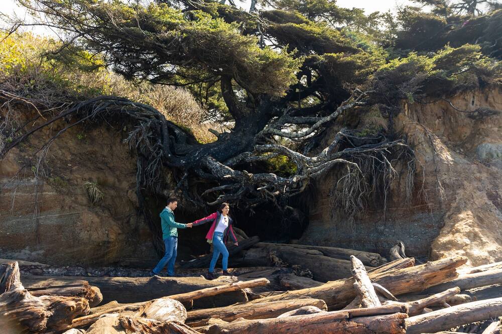 Photo of Outdoor in Kalaloch